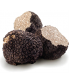 Tartufo Estivo o Scorzone (Tuber Aestivum Vitt.) Fresco 100 g Tartufo Estivo o Scorzone (Tuber Aestivum Vitt.) Fresco 100 g