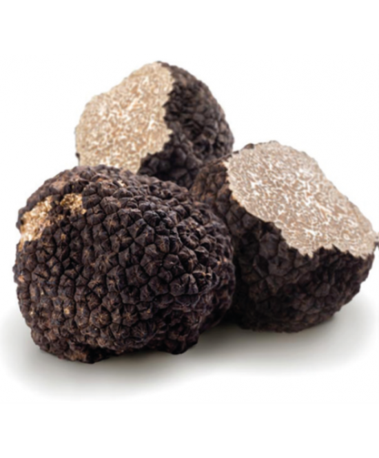Tartufo Estivo o Scorzone (Tuber Aestivum Vitt.) Fresco 100 g Tartufo Estivo o Scorzone (Tuber Aestivum Vitt.) Fresco 100 g